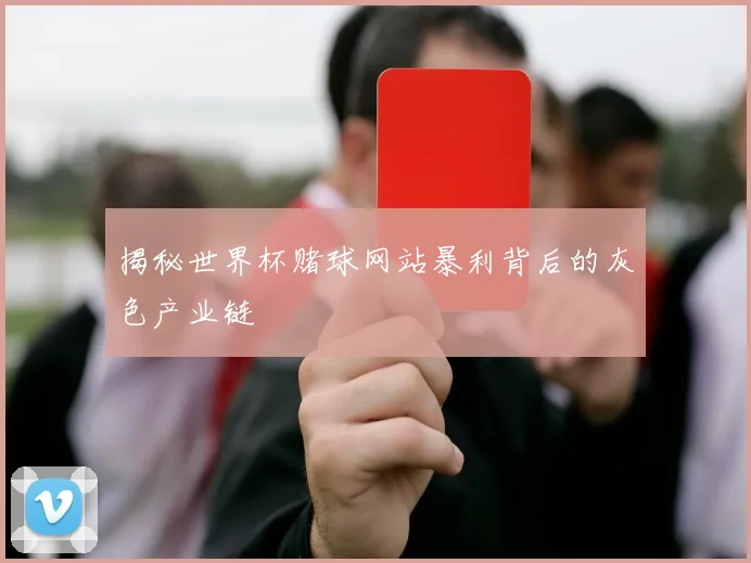 揭秘世界杯赌球网站暴利背后的灰色产业链