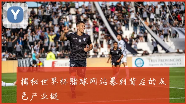 揭秘世界杯赌球网站暴利背后的灰色产业链