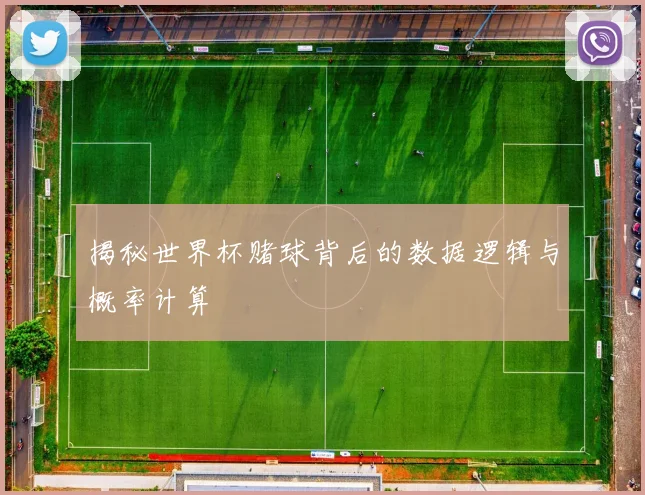 揭秘世界杯赌球背后的数据逻辑与概率计算
