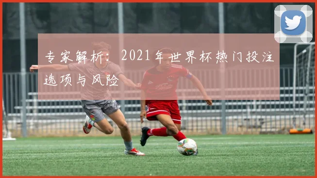 专家解析：2021年世界杯热门投注选项与风险