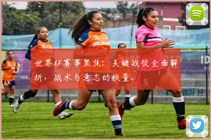 世界杯赛事聚焦:关键战役全面解析,战术与意志的较量。