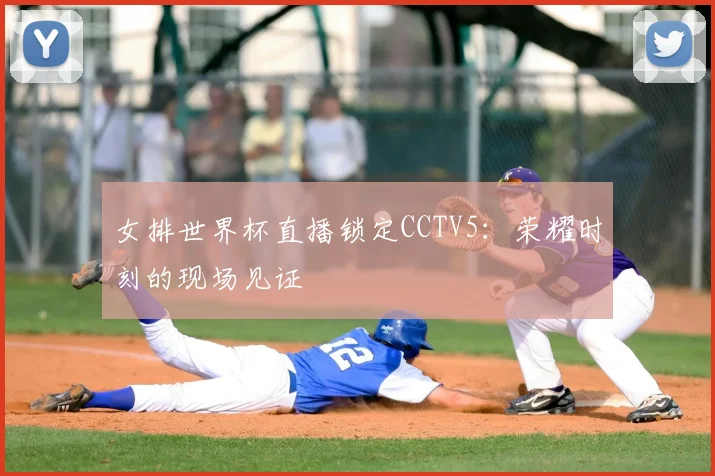 女排世界杯直播锁定CCTV5：荣耀时刻的现场见证