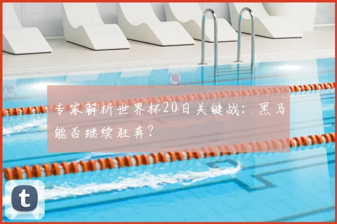 专家解析世界杯20日关键战：黑马能否继续狂奔？