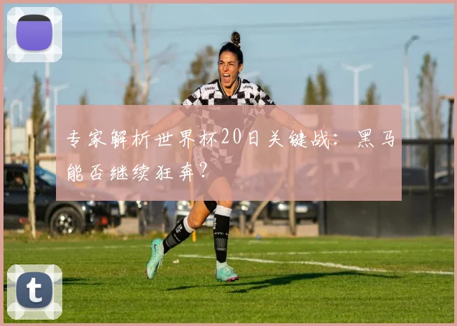 专家解析世界杯20日关键战：黑马能否继续狂奔？