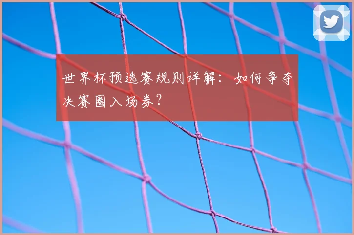 世界杯预选赛规则详解：如何争夺决赛圈入场券？