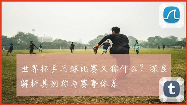 世界杯乒乓球比赛又称什么？深度解析其别称与赛事体系