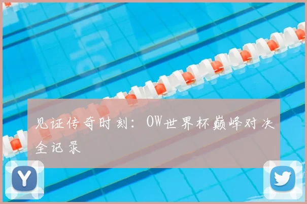 见证传奇时刻：OW世界杯巅峰对决全记录