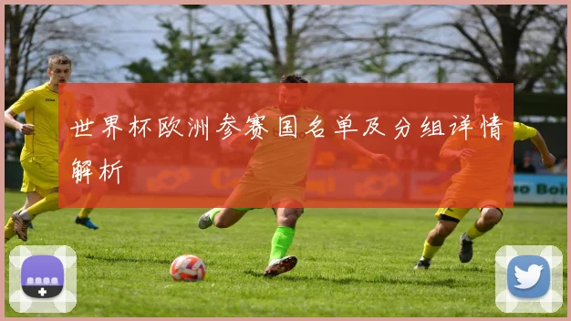 世界杯欧洲参赛国名单及分组详情解析