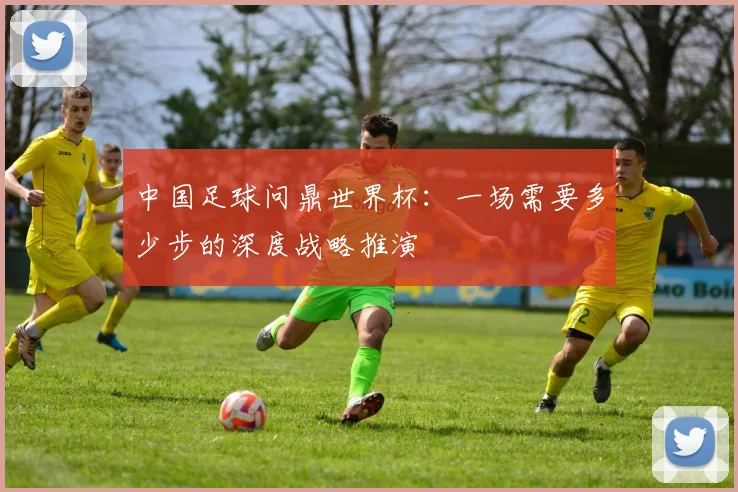 中国足球问鼎世界杯：一场需要多少步的深度战略推演