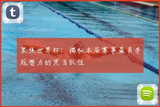 聚焦世界杯：揭秘本届赛事最具夺冠潜力的黑马队伍