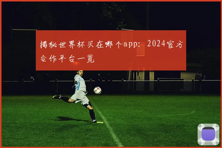 揭秘世界杯买在哪个app：2024官方合作平台一览