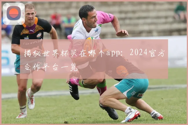 揭秘世界杯买在哪个app：2024官方合作平台一览